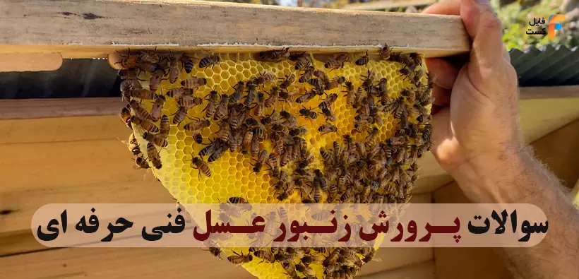 نمونه سوالات تستی پرورش زنبور عسل فنی حرفه ای
